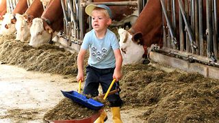 Spontaner Familienurlaub im Herbst auf dem Bauernhof im Bayerischen Wald